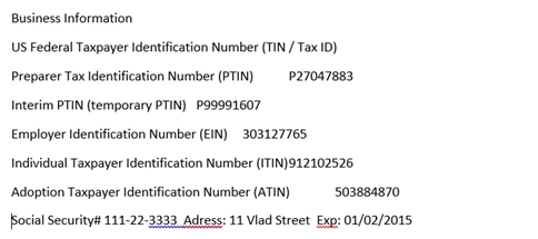 Demo Word document with sample Business Information: TIN, PTIN, EIN, ITIN, ATIN and a fake Social Security number